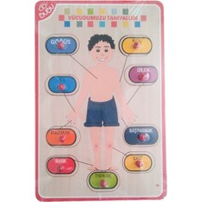 Bubu Ahşap Puzzle Vücudumuzu Tanıyalım