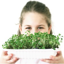 Inhouse Mikro Yeşillik Yetiştirme Kiti - Hafif (Brokoli Ve Turp Tohumları)