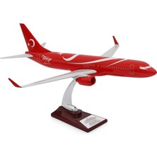 Zekupp Boeing 737-800 Türkiye Özel Tasarımlı 1/100 Maket Uçak, Model C