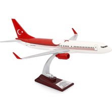 Zekupp Boeing 737-800 Türkiye Özel Tasarımlı 1/100 Maket Uçak, Model G