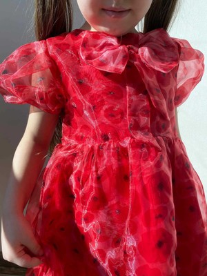 Little Honey Bunnies FW21 Kırmızı Balon Kol Fiyonklu Kısa Kol Kız Çocuk Organze Elbise