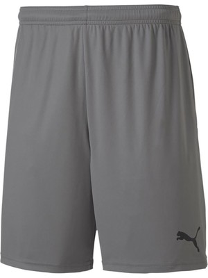 Puma Teamgoal 23 Knit Shorts Erkek Futbol Maç Şortu 70426213 Gri