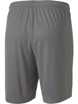 Puma Teamgoal 23 Knit Shorts Erkek Futbol Maç Şortu 70426213 Gri