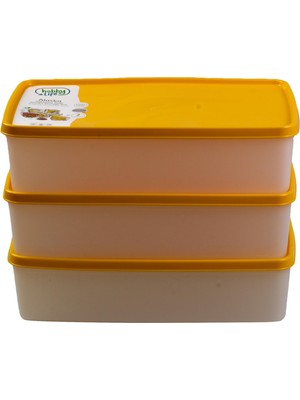 Hobby Life Alaska Nofrost Saklama Kabı 2 Litre 3'lü Turuncu