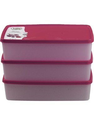 Hobby Life Alaska Nofrost Saklama Kabı 2 Litre 3'lü Fuşya