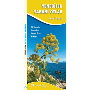 Yenebilen Yabani Otlar - Necati Balbay