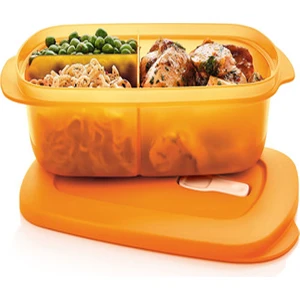 Ttupperware Mikro Bölmeli Dikdörtgen Saklama Kabı 1l Papaya Esc