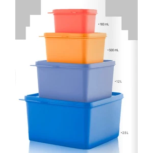Renkli Dikdörtgen Saklama Kabı 4 Lü  Set Esc