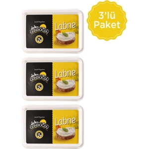 Labne Peyniri 3'lü 540 gr