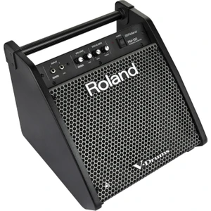 ROLAND PM-100 - 80 Watt Davul Monitörü