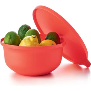 Aloha Kap 1 lt Karpuz Pembe