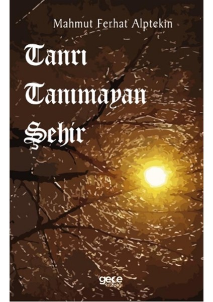 Tanrı Tanımayan Şehir - Mahmut Ferhat Alptekin