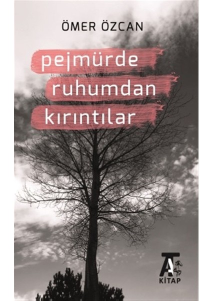 Pejmürde Ruhumdan Kırıntılar - Ömer Özcan