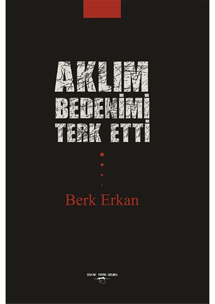 Aklım Bedenimi Terk Etti - Berk Erkan