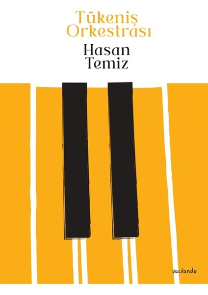 Tükeniş Orkestrası - Hasan Temiz