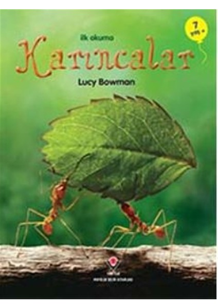 Ilk Okuma - Karıncalar - Lucy Bowman