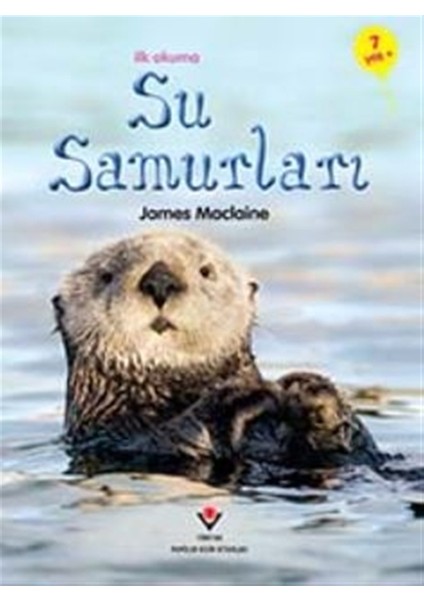 Ilk Okuma - Su Samurları - James Maclaine