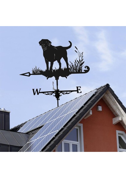 3D Köpek At Hayvan Heykelcik Weathervane Paslanmaz Çelik Rüzgar Ölçüm Aracı Labrador (Yurt Dışından)