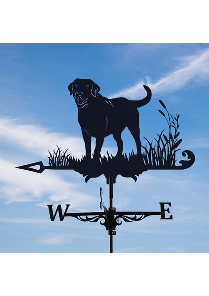 3D Köpek At Hayvan Heykelcik Weathervane Paslanmaz Çelik Rüzgar Ölçüm Aracı Labrador (Yurt Dışından)