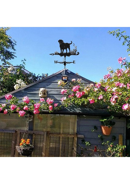 3D Köpek At Hayvan Heykelcik Weathervane Paslanmaz Çelik Rüzgar Ölçüm Aracı Labrador (Yurt Dışından)