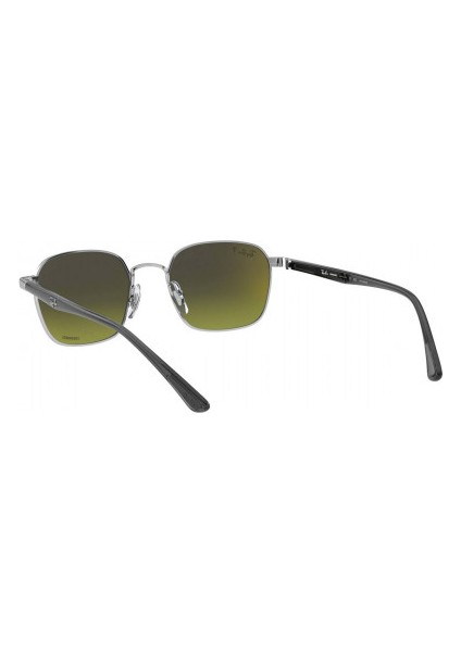 RB3664CH 50 003/6O Polarize