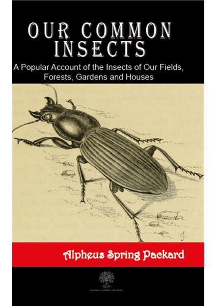 Our Common Insects - Alpheus Spring Packard