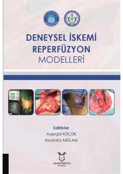 Deneysel Iskemi Reperfüzyon Modelleri - Ayşegül Küçük