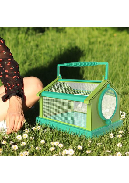 Taşıma Kolu ile Katlanır Böcek Kelebek Habitat Kafes Caterpillars Gölü Mavi (Yurt Dışından) fiyatları