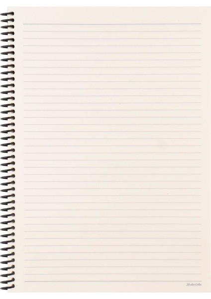 Çizgili Defter La Plume Viking Borazan 20 x 28 cm 100 Yaprak