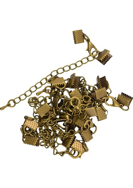 12X 8mm Vintage Stil Bronz Istakoz Toka Klipsi Extender Zinciri Sonu (Yurt Dışından)