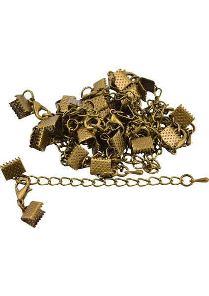 12X 8mm Vintage Stil Bronz Istakoz Toka Klipsi Extender Zinciri Sonu (Yurt Dışından)