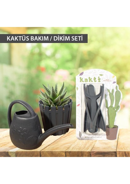 Kaktüs Saksısı, Sulama Kabı ve Kaktüs Dikim Bakım Kiti 3'lü Set Antrasit