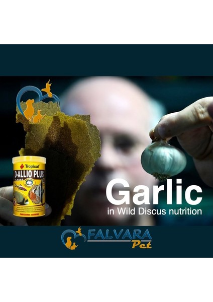 D-Allio Plus Flakes 250 Gram Sarımsaklı Pul Yem