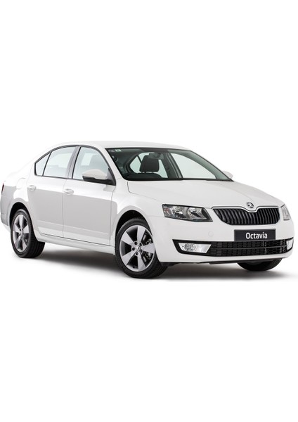 Skoda Octavia Mk3 A7 2013-2020 Sağ Ön Yolcu Koltuk Altı Ileri Geri Ayar Kolu Tutamak 3C0881254A