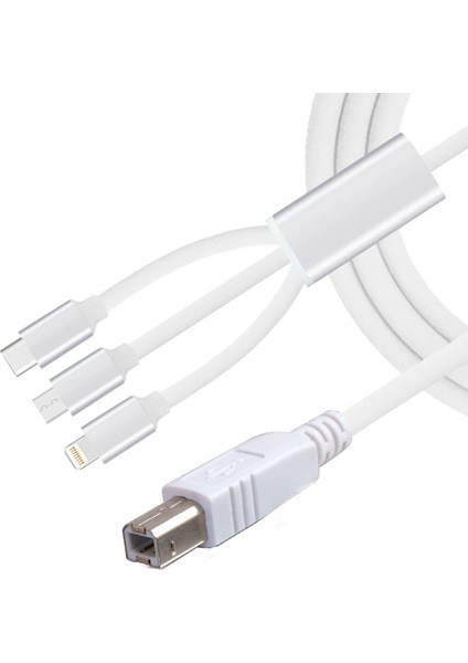 3 In 1 Type C-Lightning- Micro USB To Type B Printer Kablosu