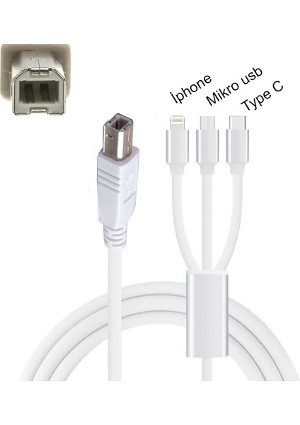 3 In 1 Type C-Lightning- Micro USB To Type B Printer Kablosu