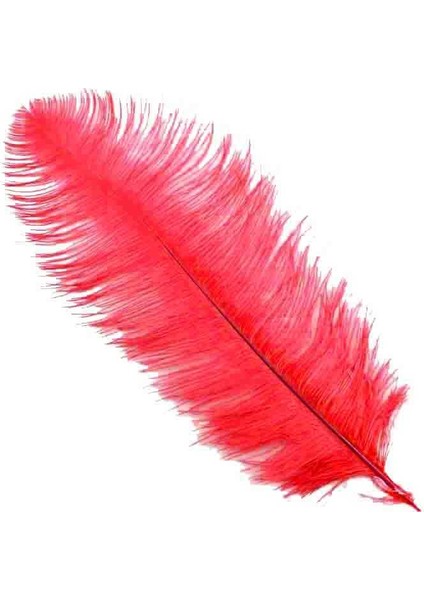 Tüy Organizasyon ve V.s 65-70CM Kirmizi fiyatları