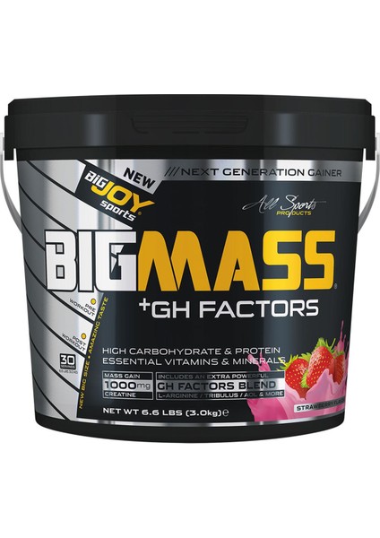 Bigjoy Big Mass +Gh Factors 3000 Gr - Çilek Aroma