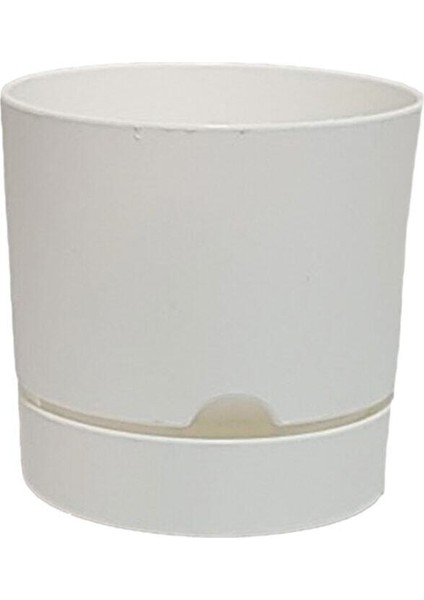 Begonya Saksı 21 cm Beyaz 5 Lt