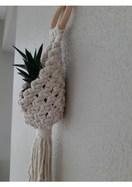 Makrome Saksılık