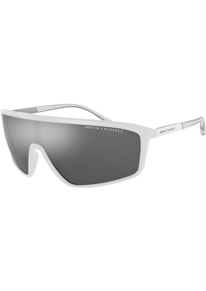 4119S 81566G 37 Güneş Gözlüğü