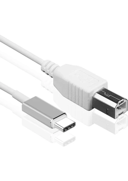 Type-C Yazıcı Kablosu Type-C To USB B Çevirici - 2 Metre AL2851