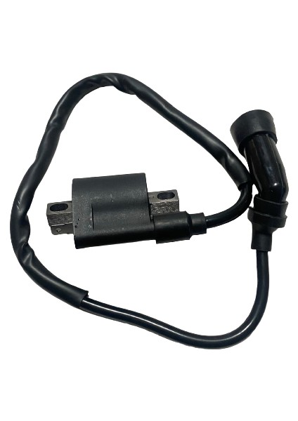 Bobin YBR125
