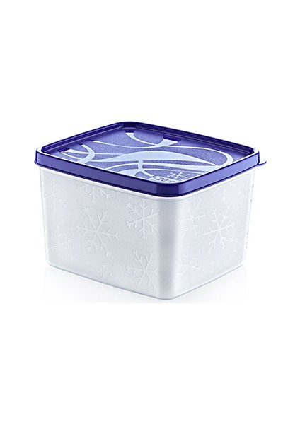 02 1157 - 1100 ml Alaska Derin Dondurucu Saklama Kabı (12,7X14X9,3CM)