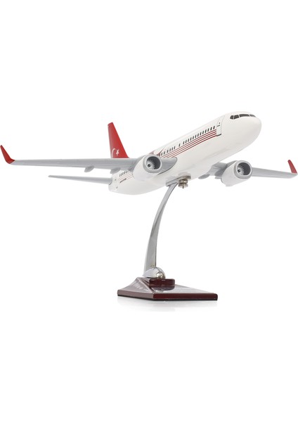 Boeing 737-800 Türkiye Özel Tasarımlı 1/100 Maket Uçak, Model B