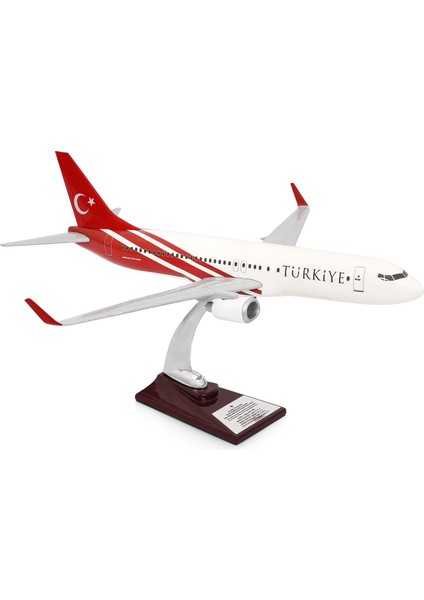 Boeing 737-800 Türkiye Özel Tasarımlı 1/100 Maket Uçak, Model F