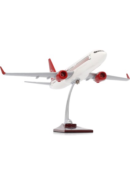 Boeing 737-800 Türkiye Özel Tasarımlı 1/100 Maket Uçak, Model G