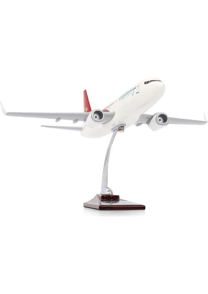 Boeing 737-800 Türkiye Özel Tasarımlı 1/100 Maket Uçak, Model H