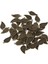 50 Parça Vintage Kilit Anahtar Charms Kolye Takı Yapımı Antik Bronz Kilit (Yurt Dışından) 2