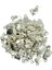 100 Adet Kalp Şekli Pendnat Charms Dıy Takı El Sanatları 3D Gül Çiçek Charms (Yurt Dışından) 1